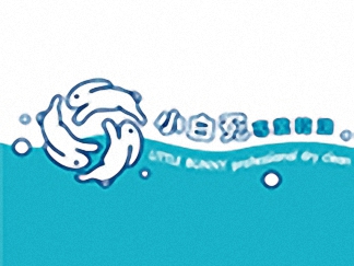 小白兔干洗簡介